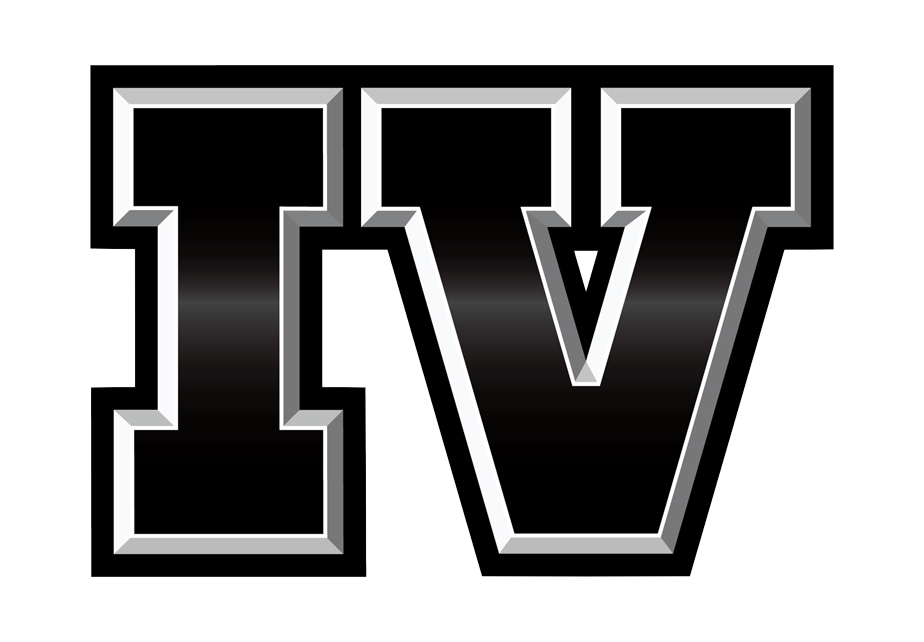 دوبله فارسی اختصاصی GTA IV ( جی تی ای 4 )